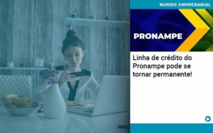 Linha De Credito Do Pronampe Pode Se Tornar Permanente - Lancei Contabilidade - Escritório Contábil no Rio de Janeiro/RJ