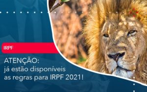 Ja Estao Disponiveis As Regras Para Irpf 2021 - Lancei Contabilidade - Escritório Contábil no Rio de Janeiro/RJ