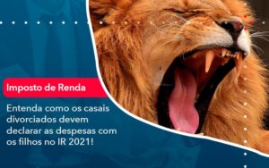 Entenda Como Os Casais Divorciados Devem Declarar As Despesas Com Os Filhos No Ir 2021 1 - Lancei Contabilidade - Escritório Contábil no Rio de Janeiro/RJ