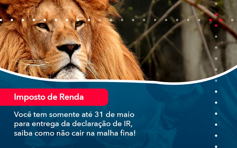 Voce Tem Somente Ate 31 De Maio Para Entrega Da Declaracao De Ir Saiba Como Nao Cair Na Malha Fina 1 - Lancei Contabilidade - Escritório Contábil no Rio de Janeiro/RJ