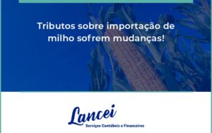 Tributos Sobre Importação De Milho Sofrem Mudanças! Lancei - Lancei Contabilidade - Escritório Contábil no Rio de Janeiro/RJ